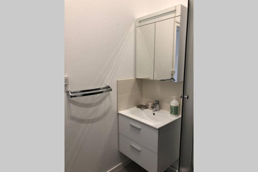 Villa Camelia Quartier Thermal Grand Studio Au Calme Vichy Eksteriør bilde