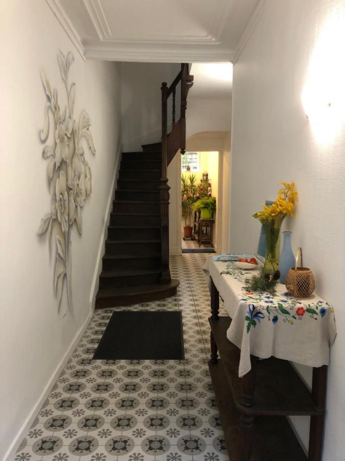 Villa Camelia Quartier Thermal Grand Studio Au Calme Vichy Eksteriør bilde